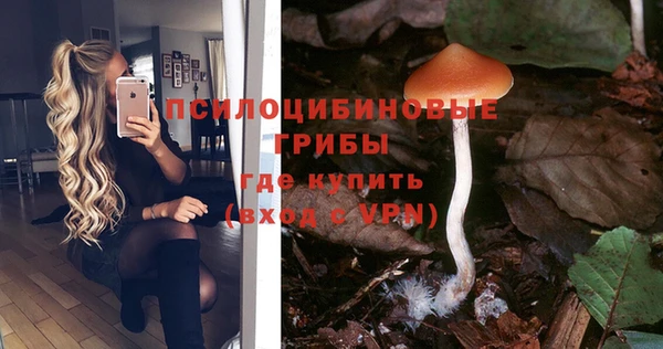герыч Алзамай
