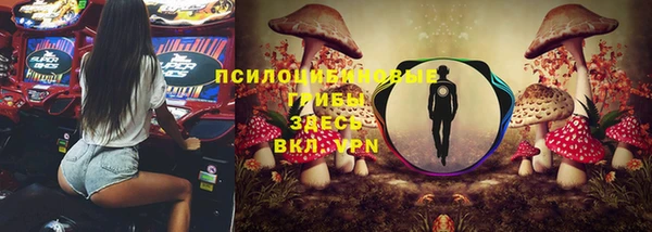герыч Алзамай