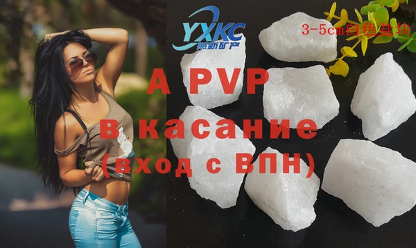 СК Алексин