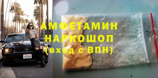 СК Алексин
