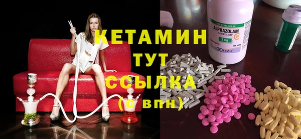 СК Алексин