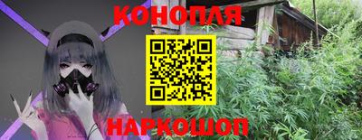 индика Заводоуковск
