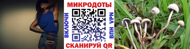 купить   Коряжма  Галлюциногенные грибы Magic Shrooms 