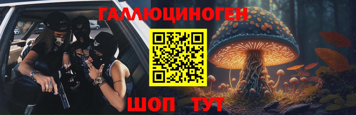 Псилоцибиновые грибы Psilocybe  Вход с VPN  Коряжма 