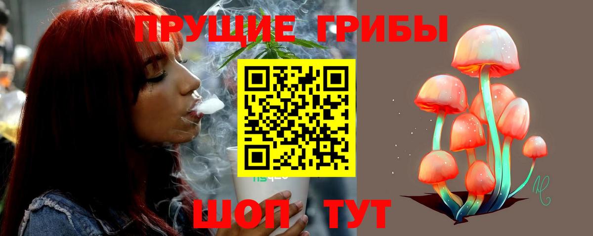 Галлюциногенные грибы Psilocybine cubensis Коряжма